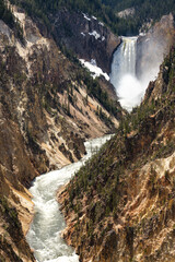 Lower Falls of the Yellowstone River, at Yellowstone's Grand Canyon.