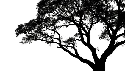 Single, majestic tree silhouetted against pure white backdrop, digital art, spring