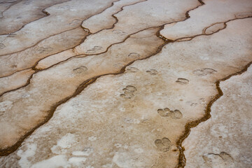 in Yellowsone, Wyoming.