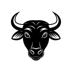 cow on white background