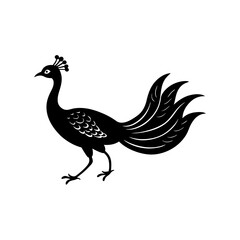 Fototapeta premium peacock isolated on white background