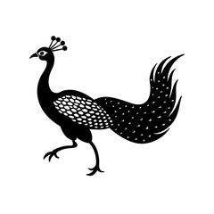 vector illustration of a peacock