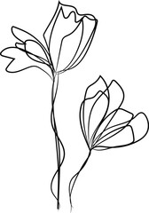 Hand drawn flower