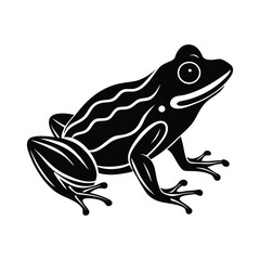 Frog silhouette isolated on white background