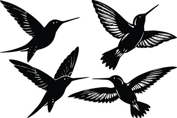 Obraz premium hummingbird silhouette isolated on white