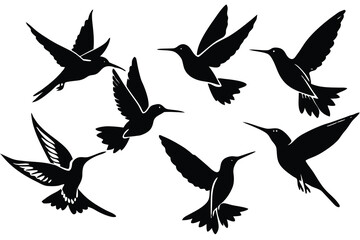 Obraz premium hummingbird silhouette isolated on white