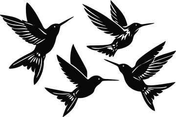 Obraz premium hummingbird silhouette isolated on white