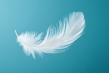 Single White Feather Floating on Teal Background