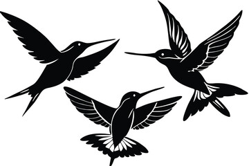 Obraz premium set of silhouettes of birds vector