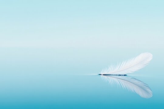 minimalistic stock photo of single feather floating on still water its reflection perfectly mirroring delicate structure