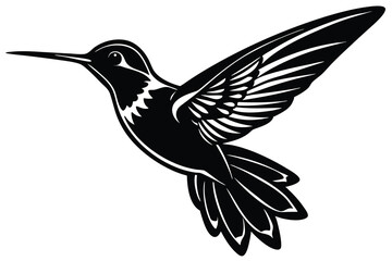 Obraz premium hummingbird vector illustration