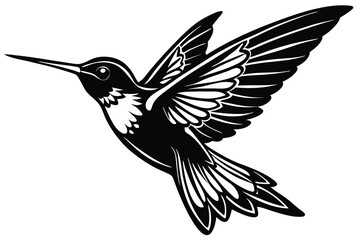 Fototapeta premium hummingbird vector illustration