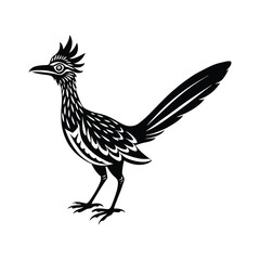 Roadrunner silhouette isolated on white background