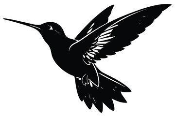 Obraz premium hummingbird vector illustration