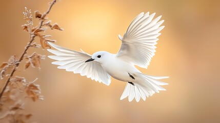 Majestic white bird in flight serene nature setting wildlife photography soft light inspiring beauty