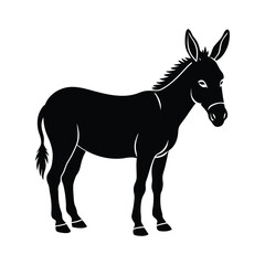 Donkey silhouette isolated on white background