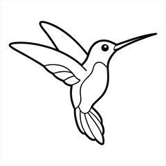 Hummingbird Bird Flying vector Illustration Coloring book