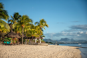 A beach covered with majestic palm trees in Mauritius