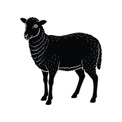 Sheep silhouette isolated on white background