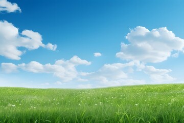 Fototapeta premium Picturesque Green Field with Clear Blue Sky and Fluffy White Clouds Scenic Landscape