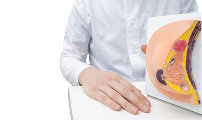 Doctor showing breast tumor or cancer on anatomical model of breast for women's awareness of...