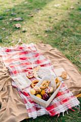 Basket with buns and fruits stands on a blanket on the grass in the park next to the mugs