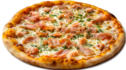 Delicious smoked salmon pizza with herbs and mozzarella cheese