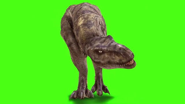 Tyrannosaurus Rex Roaring Green Screen 4k.T-rex Walking on Green Screen 4k. T-rex Green Screen 4k.