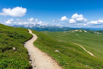 Fototapeta premium A winding hiking trail leading up to a mountain summit with breathtaking views
