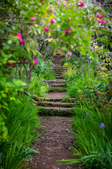 Beau jardin paysag&eacute; fleuri et ses plantes et palmiers au pied d'une habitation au printemps.