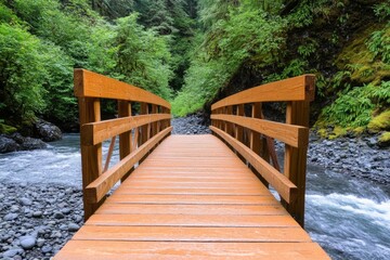 Obraz premium A wooden footbridge crossing a small river deep in an old-growth forest