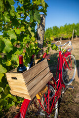 Vieux vélo rouge au milieu des vignes et sa caisse de bouteille de vin rouge après les vendanges d'automne.