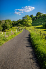 Virage sur une route de campagne au milieu des champs au printemps.
