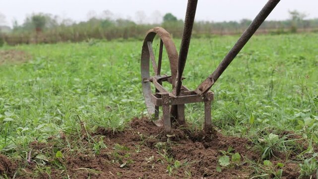 Farmer Cleaning grass in chilli garde with green fields with a metal hamd machine under a bright sky