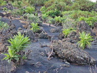 La Palma Kanarische Inseln Landschaft, Natur, Panorama