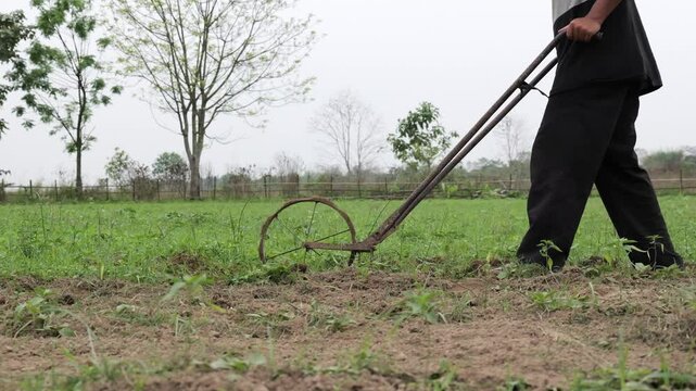 Farmer Cleaning grass in chilli garde with green fields with a metal hamd machine under a bright sky