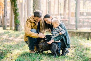 Smiling parents petting dog in park near little daughter