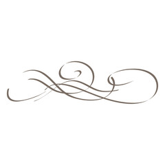 Elegant Swirl Design: A delicate, swirling design element in a minimalist style, perfect for adding a touch of sophistication and artistic flair.