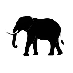 Fototapeta premium elephant isolated on white