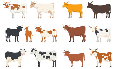 Farm Livestock Cows and Bulls Vector Set for Countryside and Dairy Industry