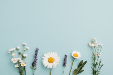 Obraz premium spring floral arrangement on pastel blue background