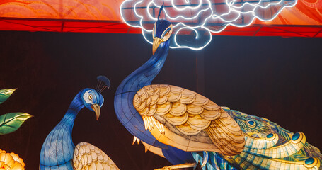 Beijing, China. Zigong Lantern Festival In Beijing. Amazing Glowing Lanterns In Form Of Peacocks....