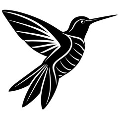 hummingbird vector illustration
