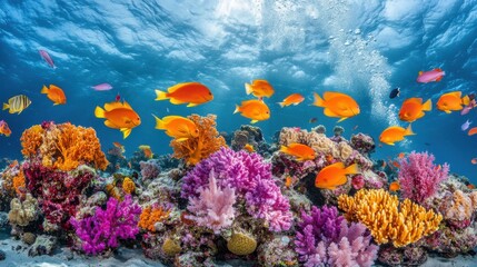 Obraz premium Vibrant underwater scene showcasing a variety of colorful coral reefs and tropical fish swimming