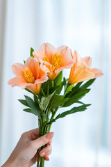 beautiful bouquet of peach lilies held in hand, symbolizing joy and love. This moment captures essence of giving and receiving flowers
