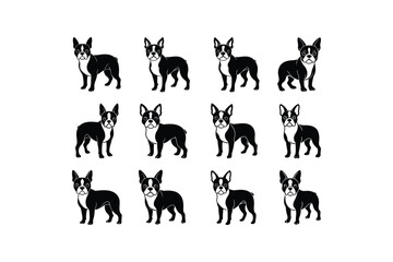 Set of Cute Boston Terrier Dog Line Art Vector Illustration

