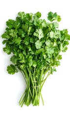 Fototapeta premium a bunch of green leaves