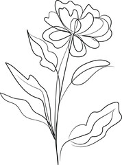hand drawn flower
