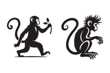 Monkey silhouette with white background