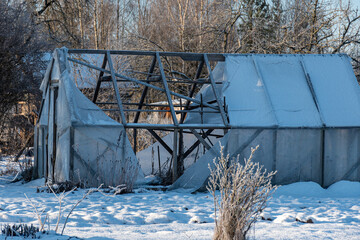 wonderful winter day, trees and grass covered with frost, film greenhouse in the garden